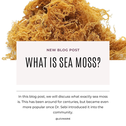 What is Sea Moss?